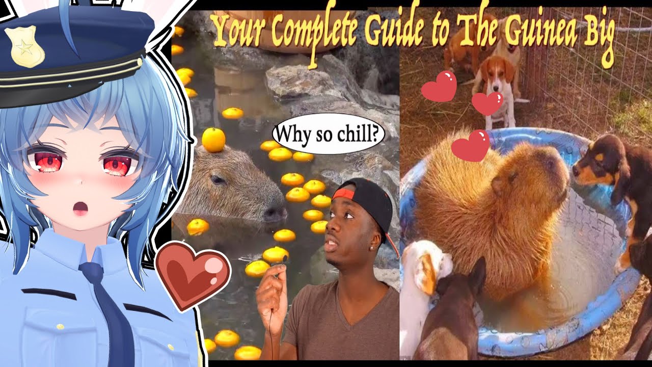 The Unproblematic Nature of the Capybara - Casual Geographic Reacts