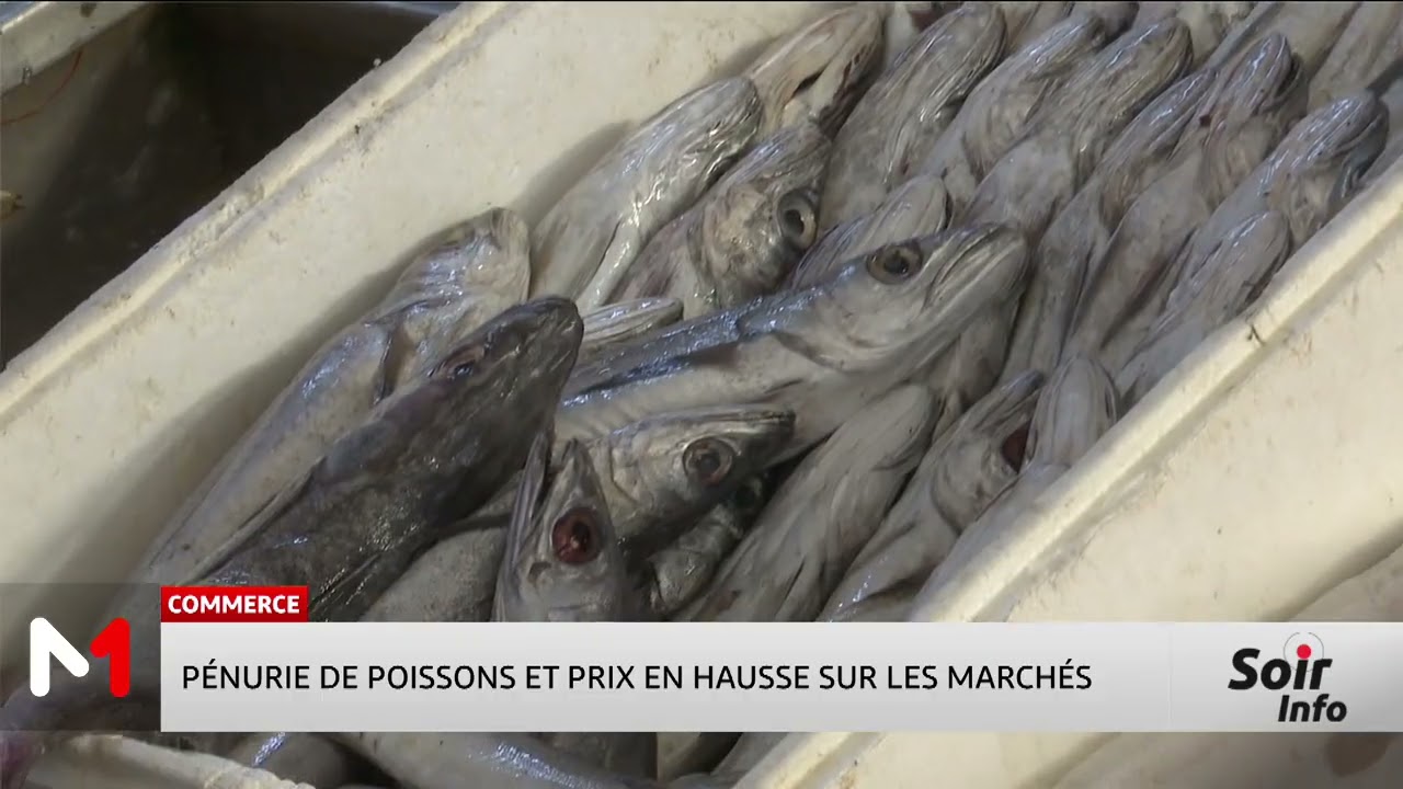 Pénurie de poissons et prix en hausse sur les marchés marocains