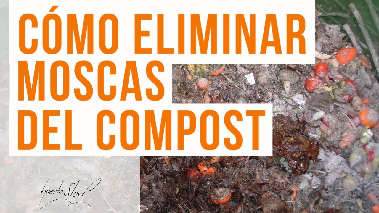 Cómo eliminar moscas del compost