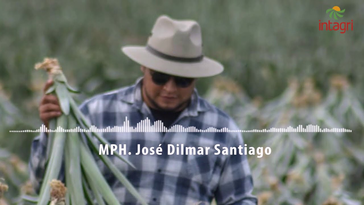 Testimonio J.Dilmar Santiago Master en Producción Hortofrutícola.
