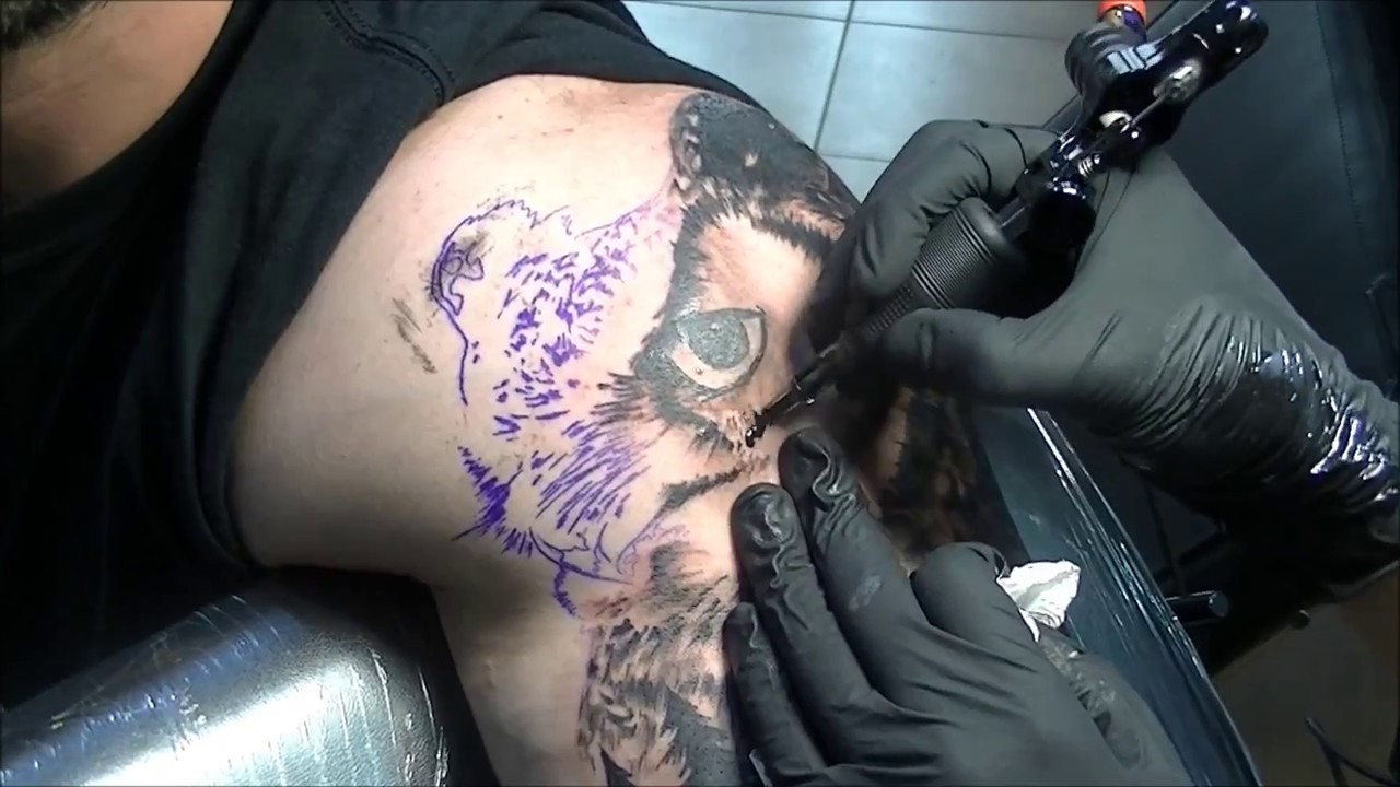 The owl - Tattoo Time Lapse