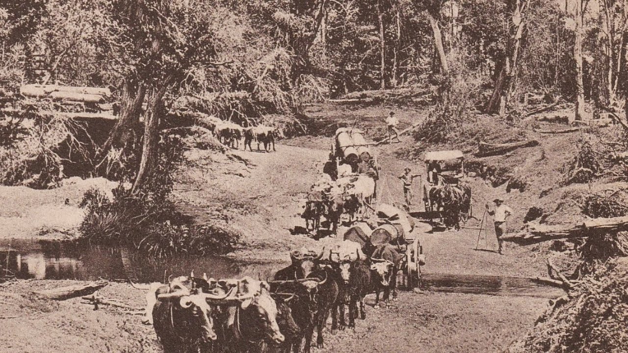 Incredible Old Australia 🇦🇺 Rarely Seen Historical Photos From Around Australia I The Long Stretch
