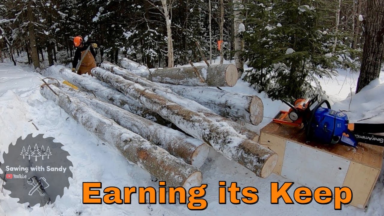 Skidding Logs without Heavy Equipment | Lewis mk2 Chainsaw Winch