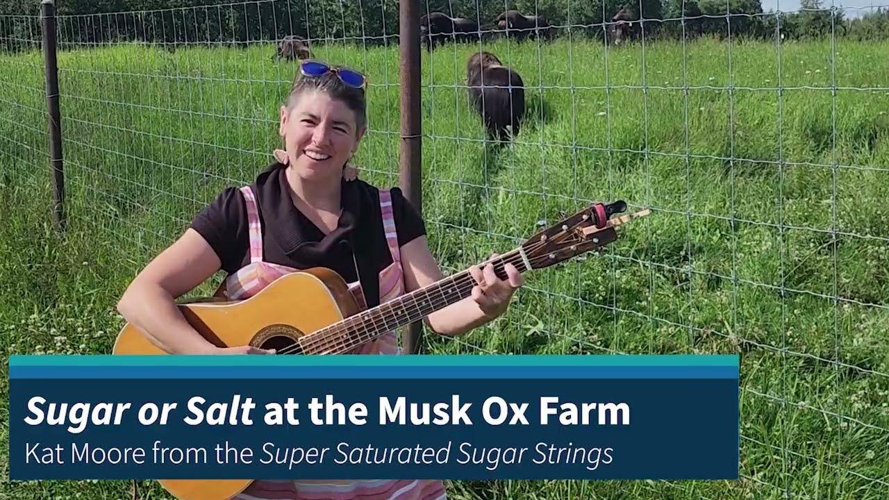 Kat Moore from Super Saturated Sugar Strings 