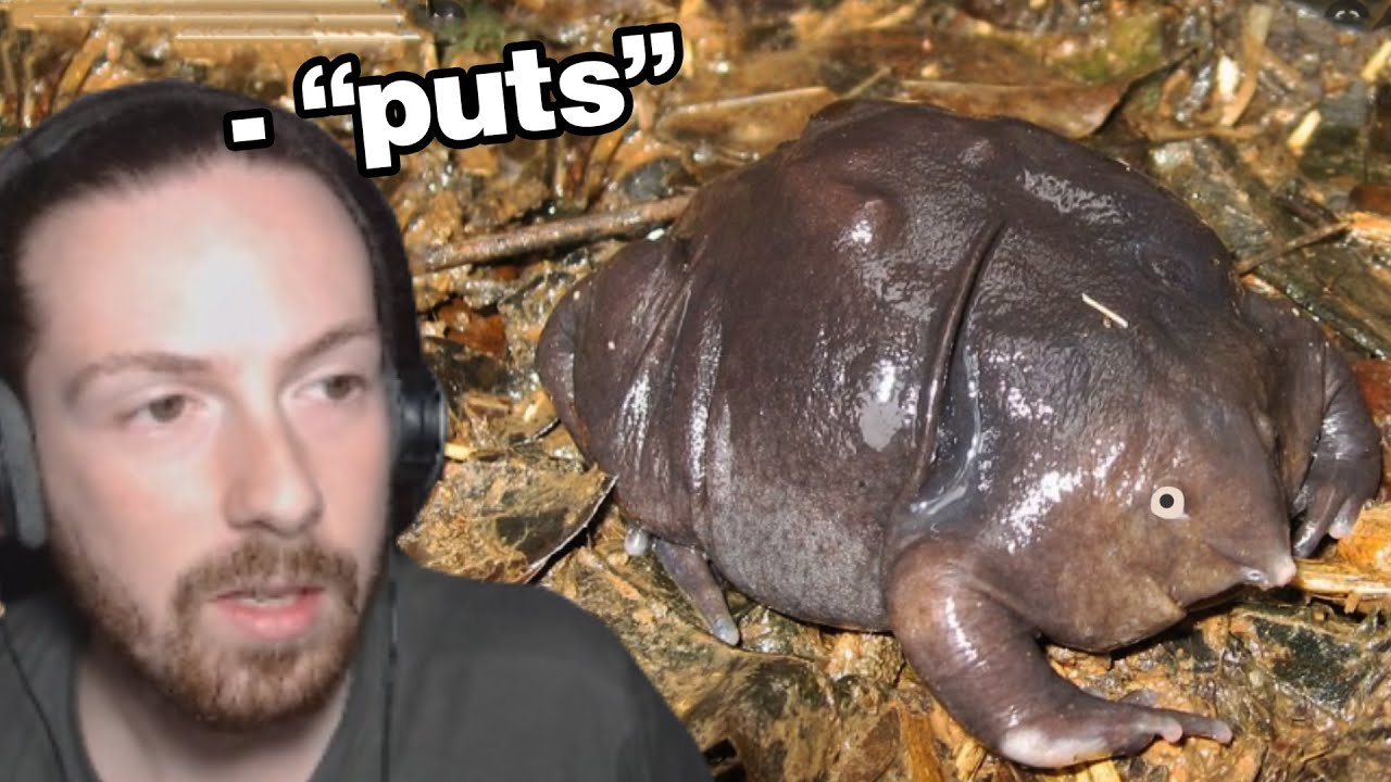 Biólogo analisa animais HORRÍVEIS