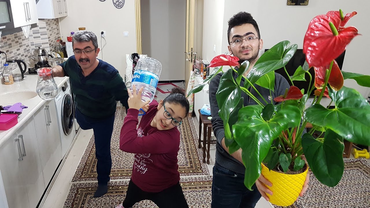 ALFABE CHALLENGE EĞLENCESİNE DEVAM ( KOMİK VİDEO )