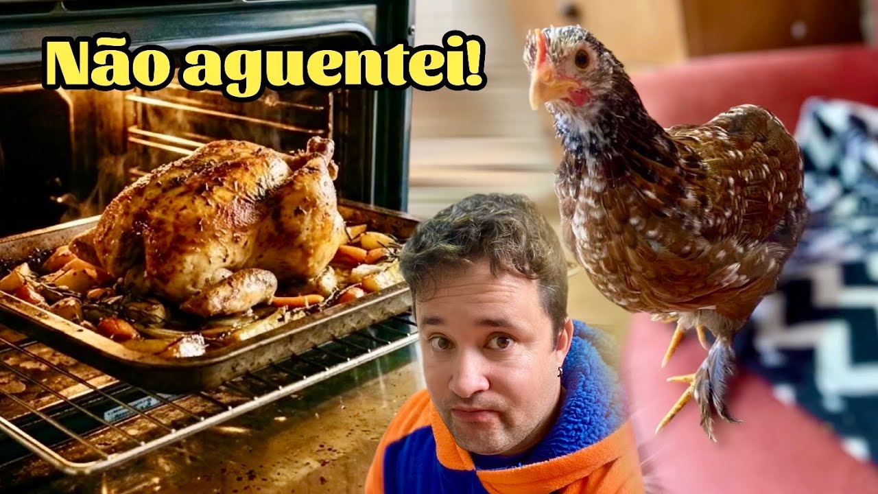 Adeus Sofia! Minha galinha de estimação partiu 