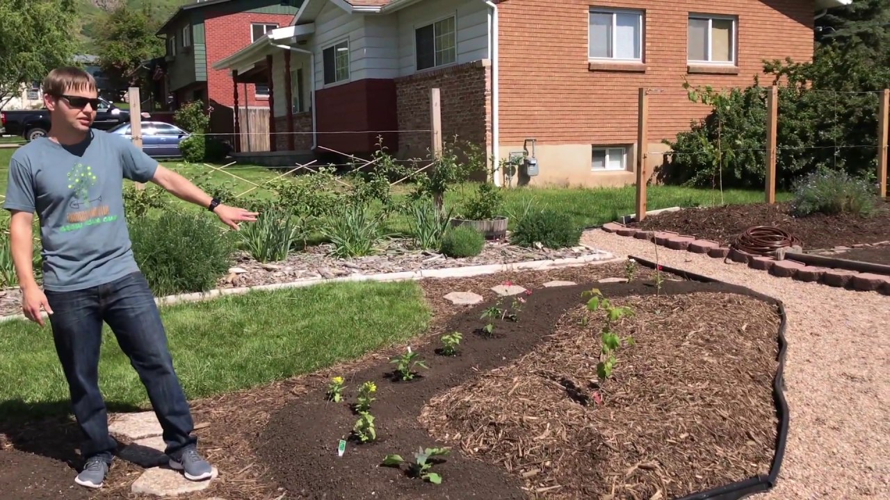 Foodscaping our front Phase 2: replacing grass with frameless raised vegetable beds and nut trees