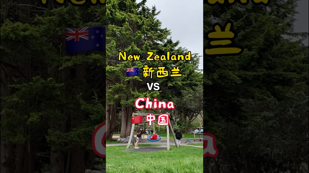 Differences between China and New Zealand 聊聊中国和新西兰的不同 #china #newzealand #difference