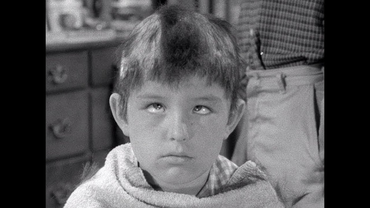 LEAVE IT TO BEAVER Season 1 (NO NARRATION!) (Part 1) Review (1957-1958) Schlockmeisters TV #8