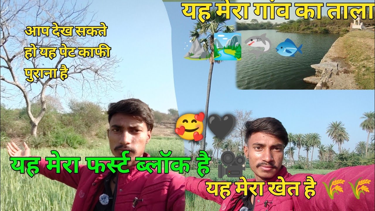 🌾Yah Mera first blog hai Mai Apne khet mein ja raha huu 🌾🌾🏞️
