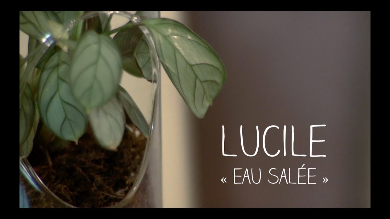 Window Session #7 - LUCILE - 