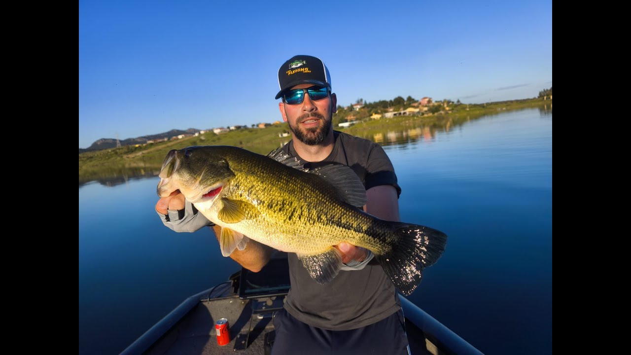 Black bass en Orellana