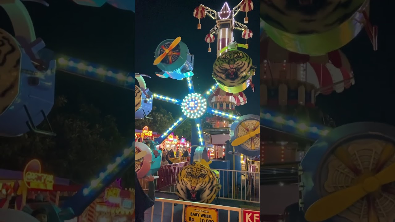 Bianglala Macan Dan Pesawat Unik di Pasar Malam