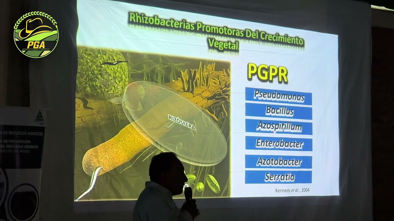  ¿Por qué es importante el uso de bioestimulantes o microorganismos en suelos pobres?