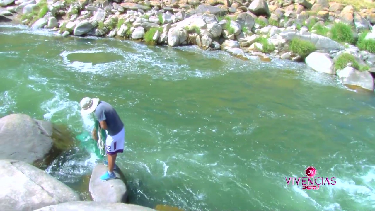 Pesca de TRUCHAS con Atarraya