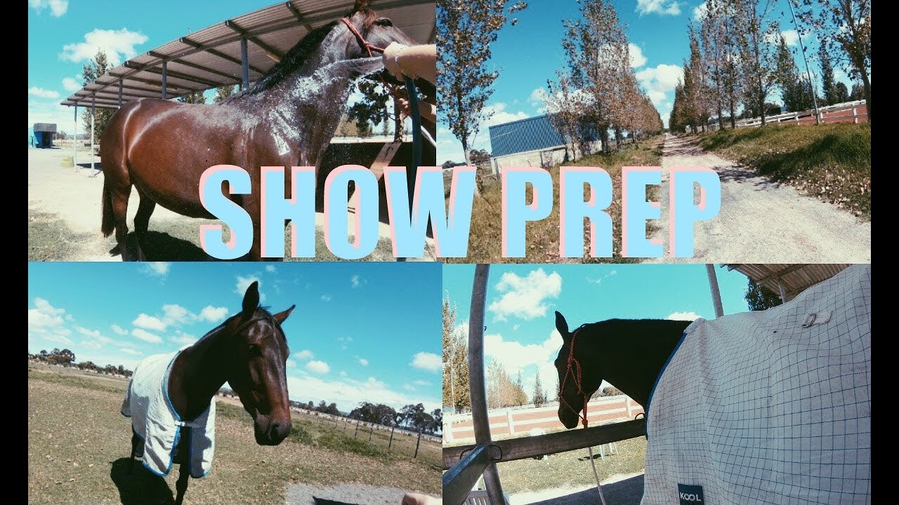 Horse Show Prep || Go-Pro