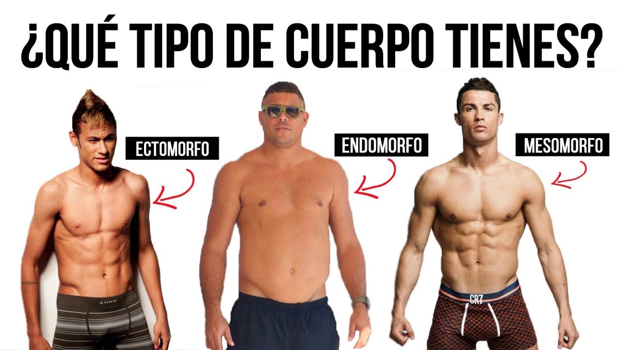 La VERDAD sobre los SOMATOTIPOS (Ectomorfo, endomorfo o mesomorfo)