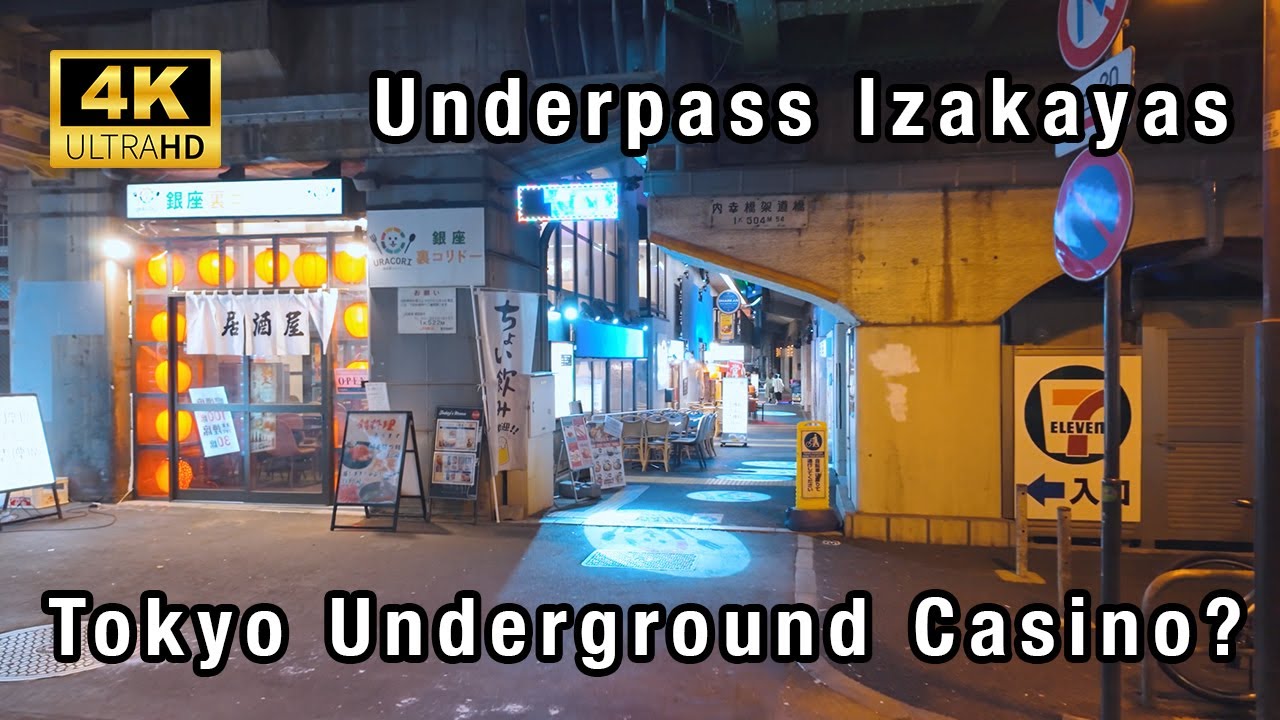 Tokyo's Secret Oasis: Exploring Hibiya Okuroji Beneath the Railway Arches 日比谷 [4K 60fps ASMR]