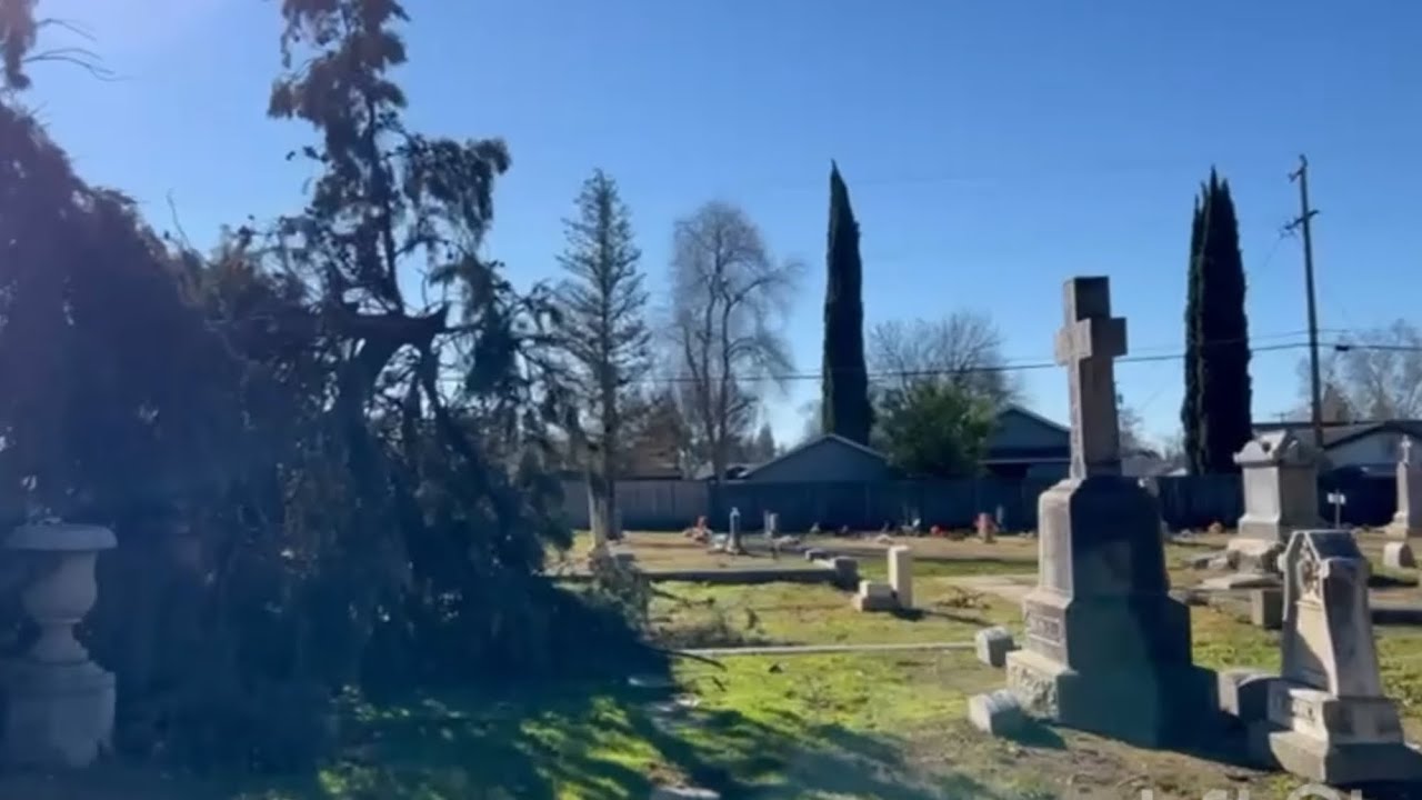Árboles 🌲🌲🌳💨🌧️y tumbas 🪦 caídos por los vientos y la lluvia 🌧️ en el cementerio.Enero/01/2023.🇺🇸