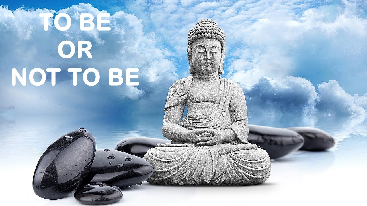 100 Life Changing Buddha Quotes, Pursuit of Happiness, Best Motivational Video