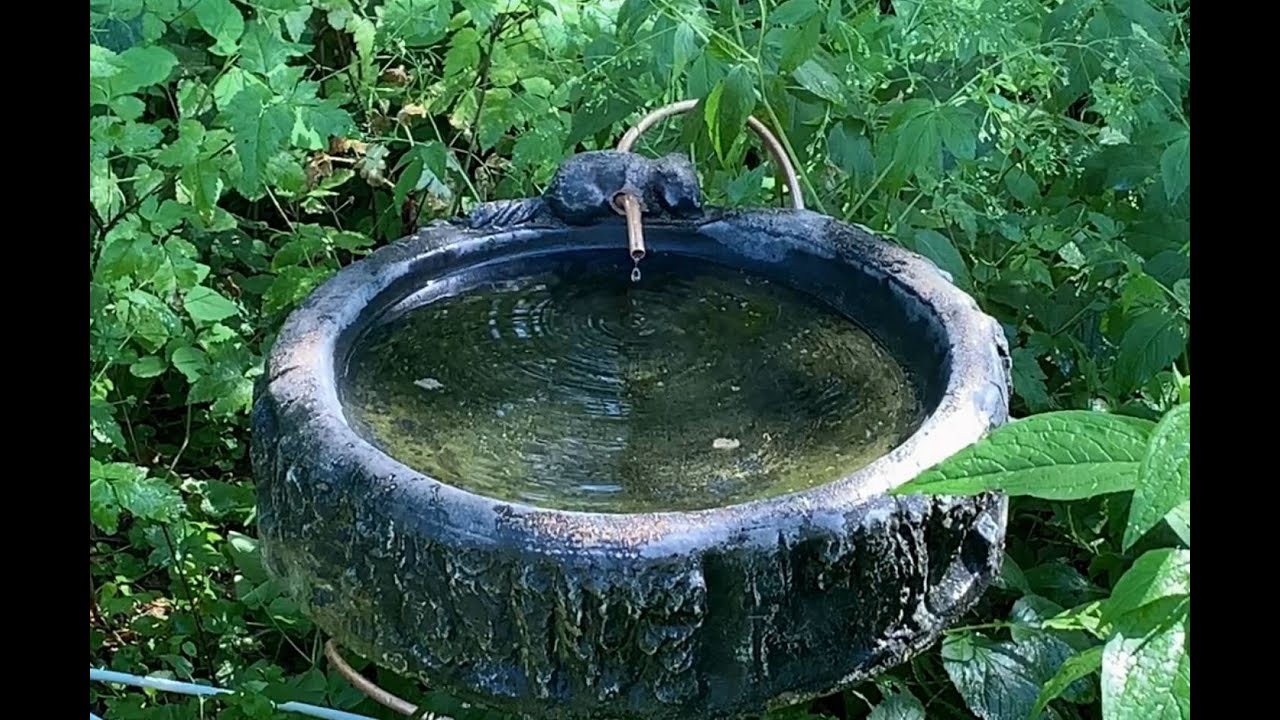 A Better Way to Keep Your Birdbath Full of Water