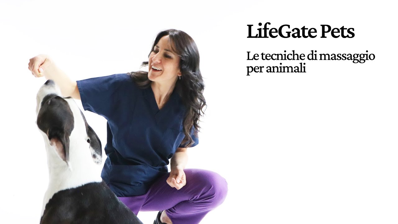 LifeGate Pets. Le tecniche di massaggio per animali