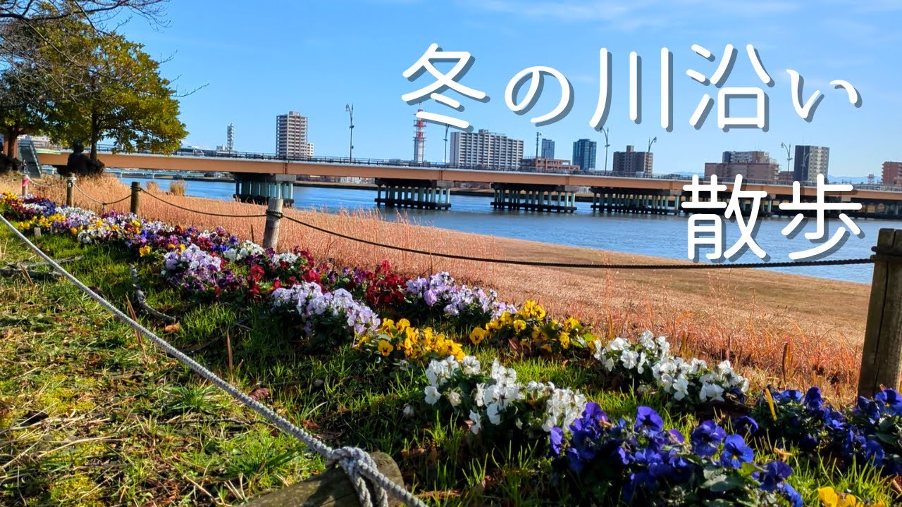 冬の川沿い散歩｜信濃川やすらぎてい