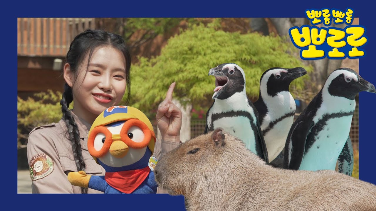 뽀로로 동물원 | 2화 뽀로로의 친척 펭귄들을 찾아서 | 랜선동물원 투어! | 방구석 소풍 여행 | 동물원 구경해요!