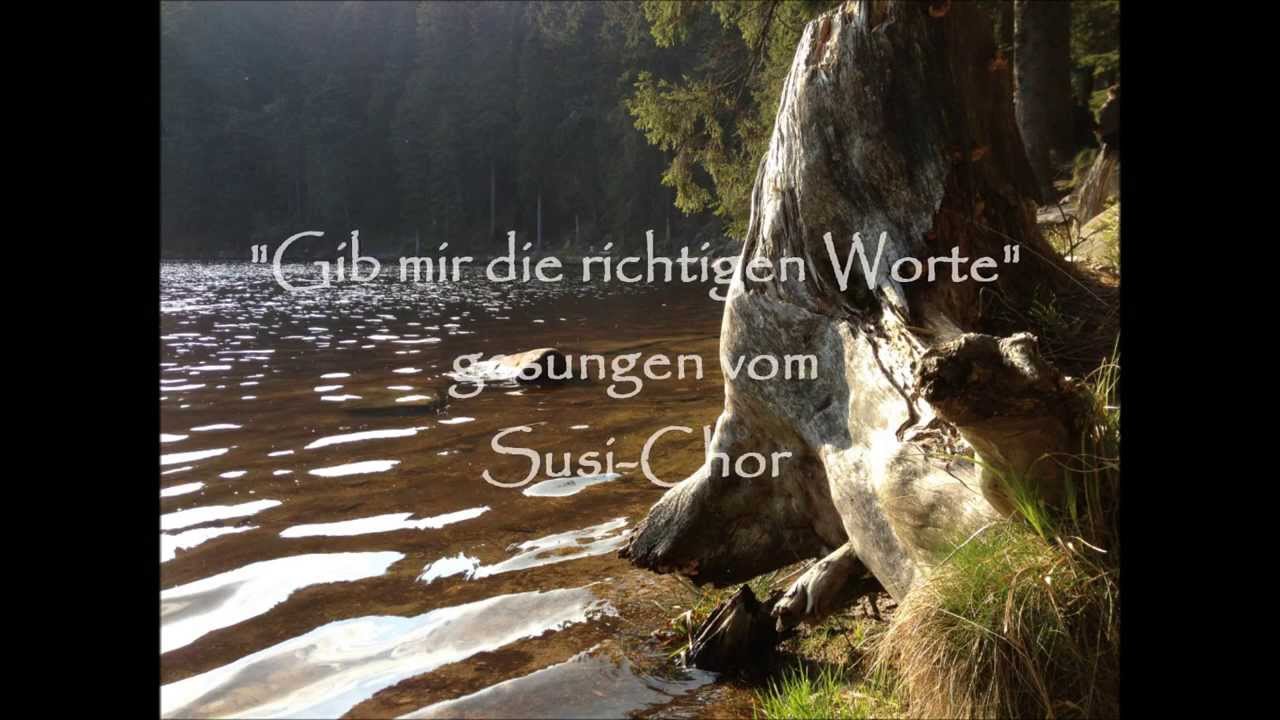 Gib mir die richtigen Worte (me singing - Susi-Chor acapella)
