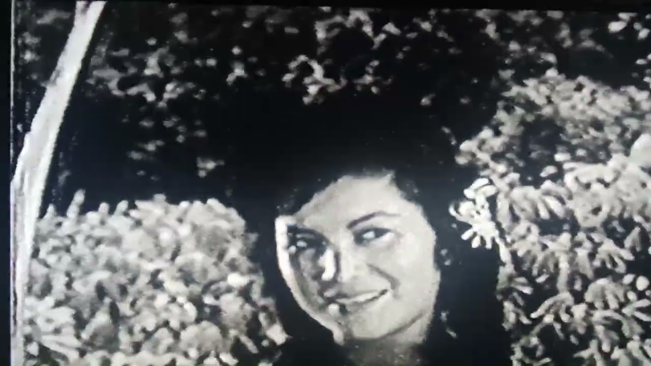 3 BUAH LAGU DARI FILEM 