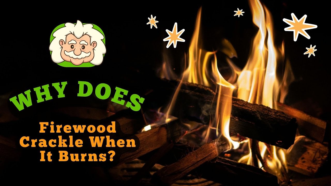 Why Does Firewood Crackle When It Burns? Tiny Explosions in Every Log