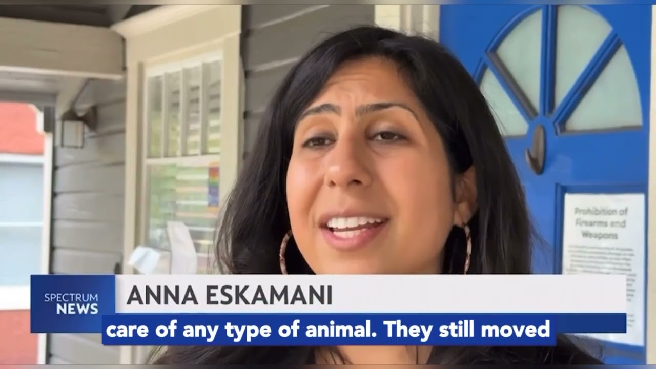 Eskamani demands criminal investigation of Sloth World operations