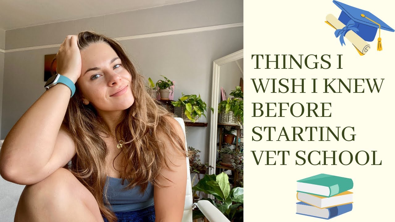 5 THINGS I WISH I KNEW GOING INTO VET SCHOOL