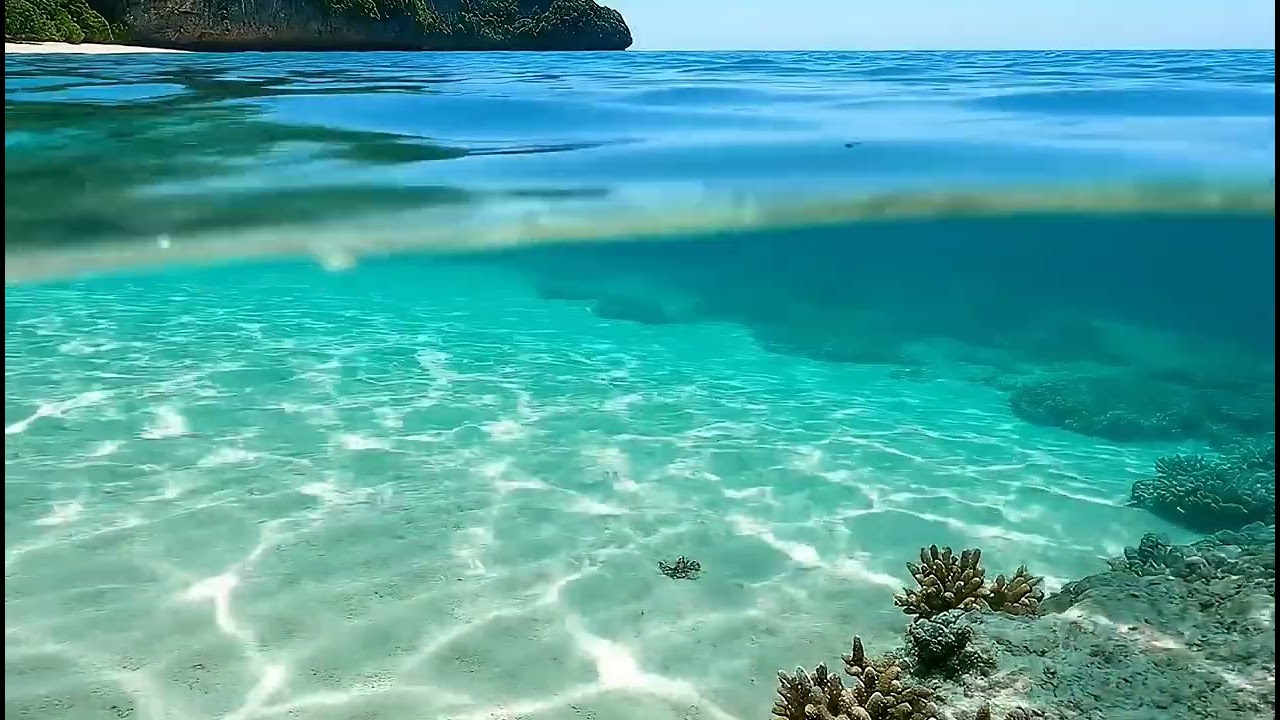 Запустите Shine Morning Energy EDM 2025, вдохновлённый Кэлвином Харрисом и Авичи