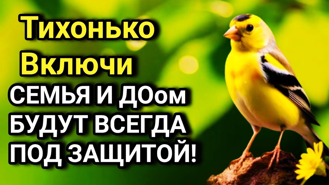 💙☝️ ВКЛЮЧИ И НЕ КОСНЁТСЯ БЕДА РОДНЫХ И ДОМА дуа Всевышнему Аллаху 🤲✨💯