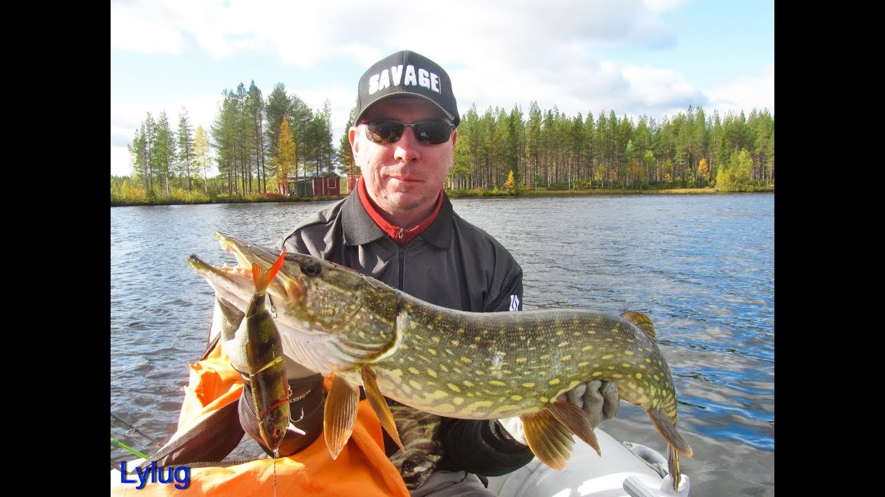 Свимбейт Savage Gear 3D 4Play Liplure. Ловля на течении.