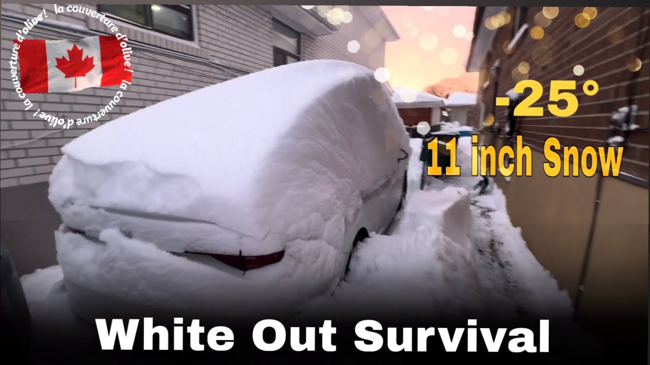 11 inch heavy snowfall in 