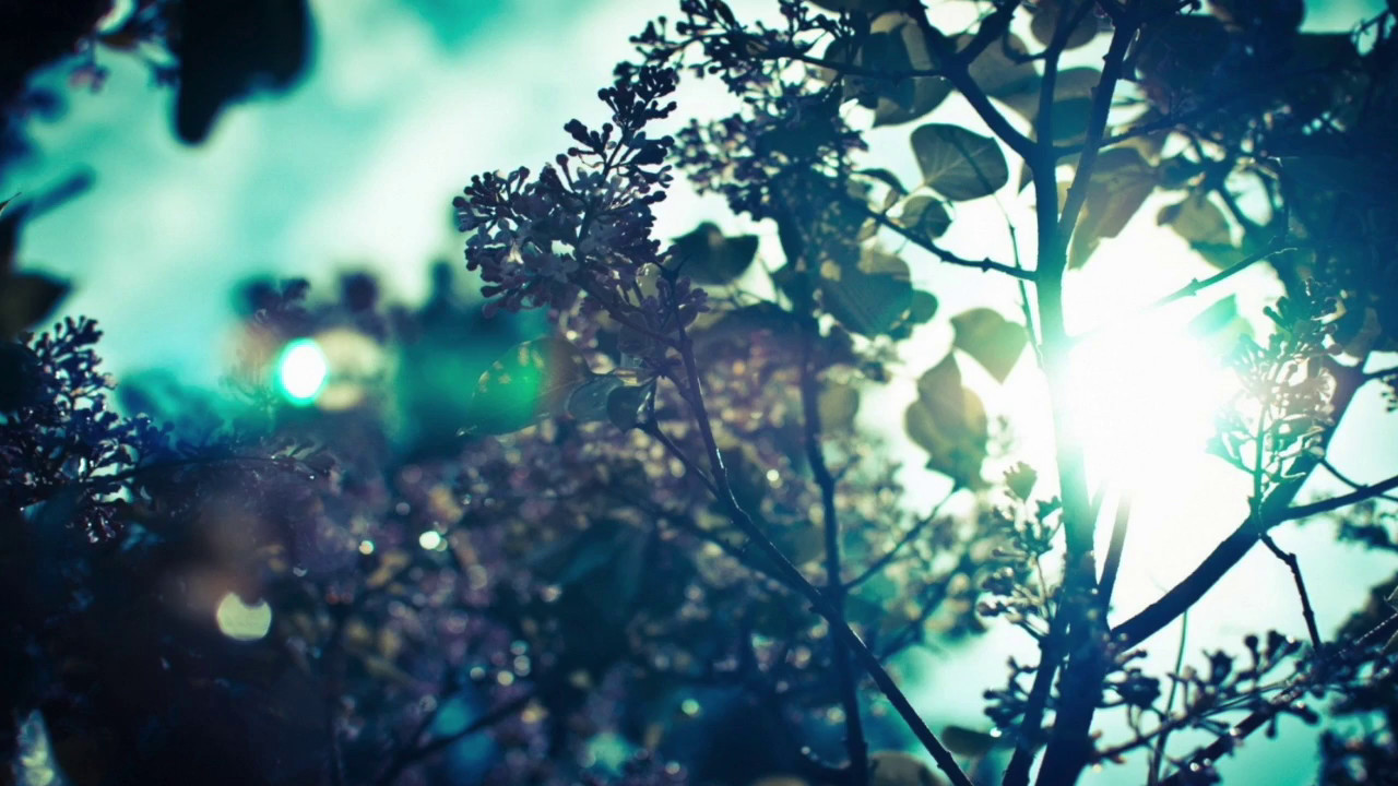 Breath of Life (Parental Love) - Ken Dickinson