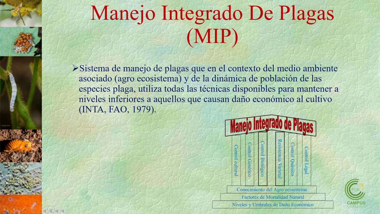 Introducción al Manejo Integrado de Plagas (Parte 1)