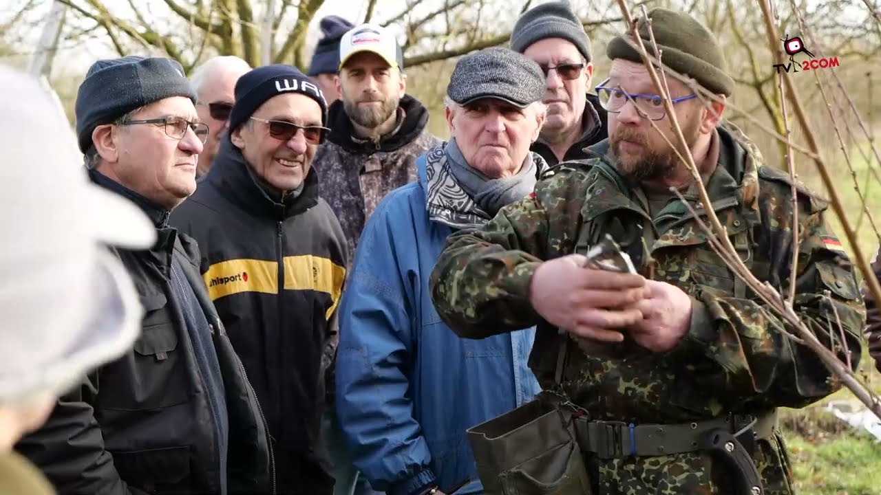 Un cours de taille d'arbres fruitiers à Ebersheim.