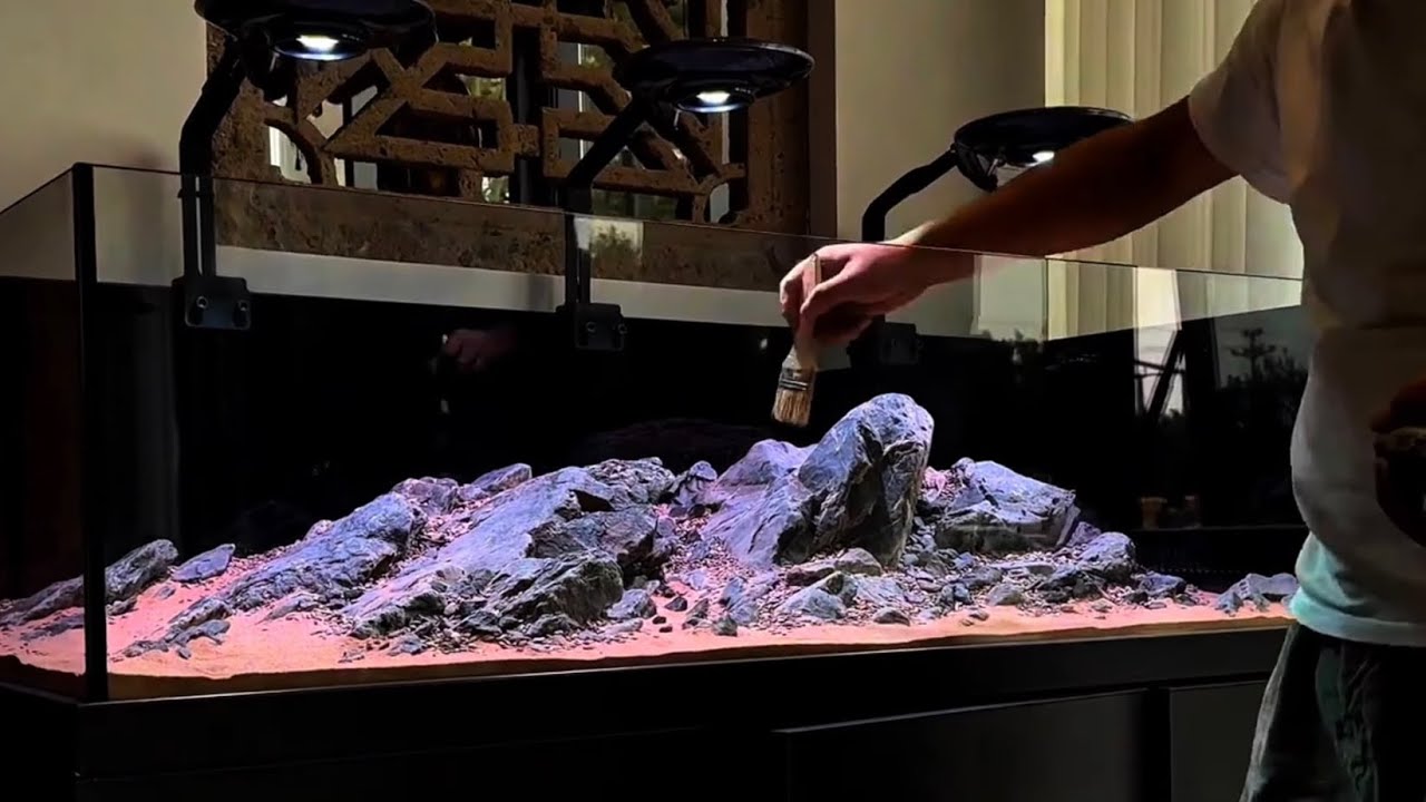 DIY Natural Stream Biome Step-by-Step, Stream Biotope Masterclass: From Wild to Aquarium (DIY Guide)