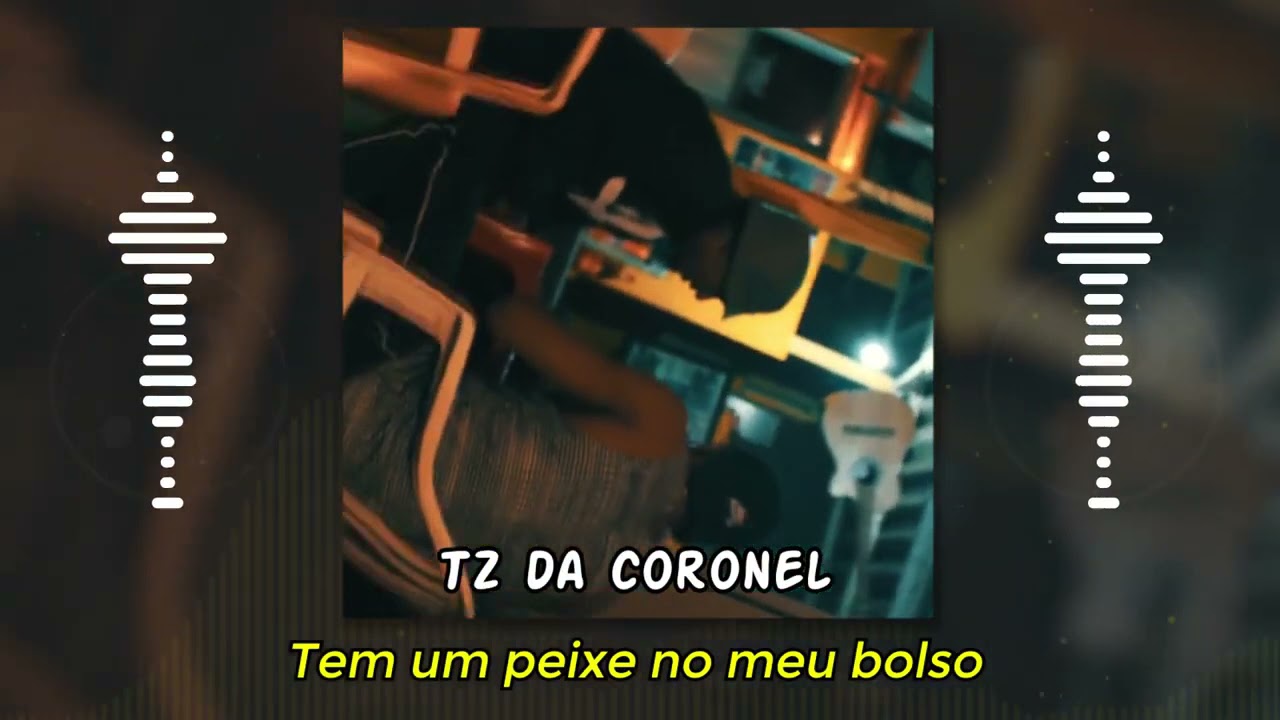 animais - tz da coronel & sueth (PREVIA/LETRA)