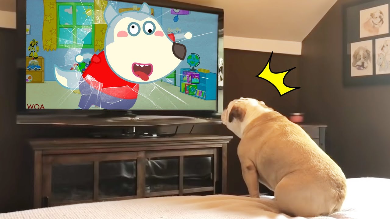 Funny Dog Reaction to Wolfoo From TV 😾🐶  Wolfoo in Real Life ! Funniest Cats And Dogs Videos