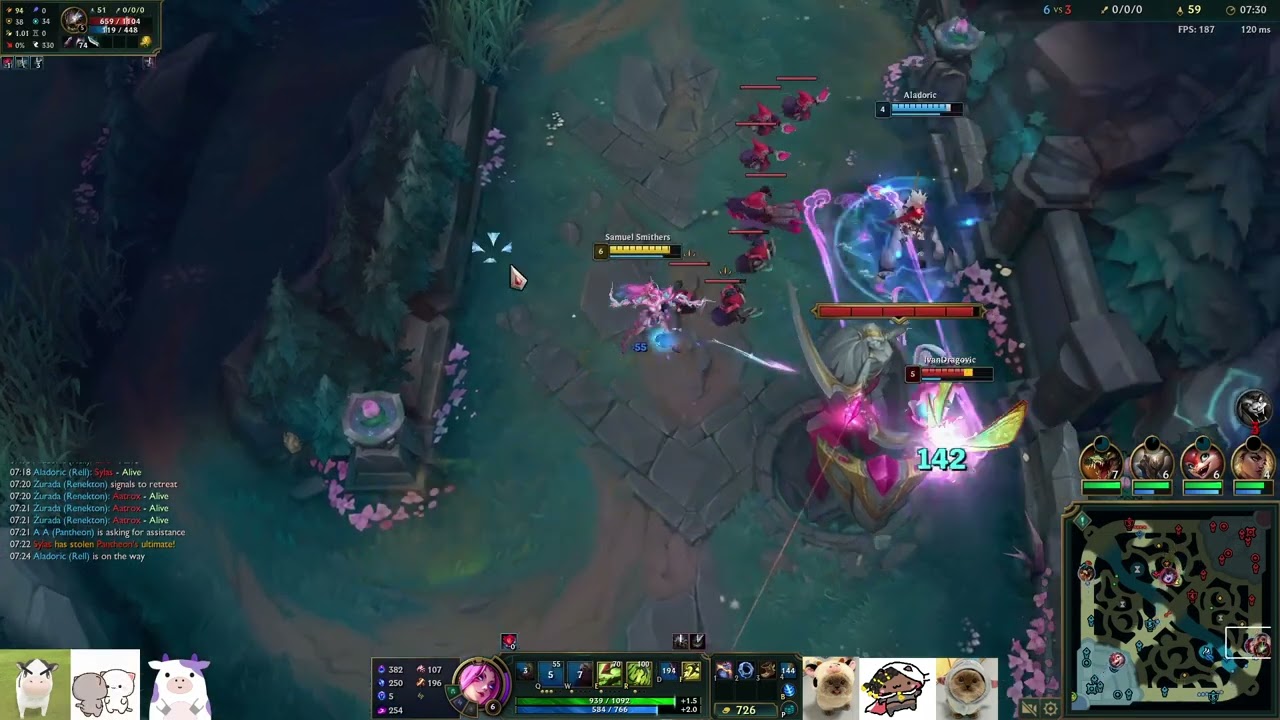 duoking1 │ Zyra vs KogMaw │ 12 Jun 2025