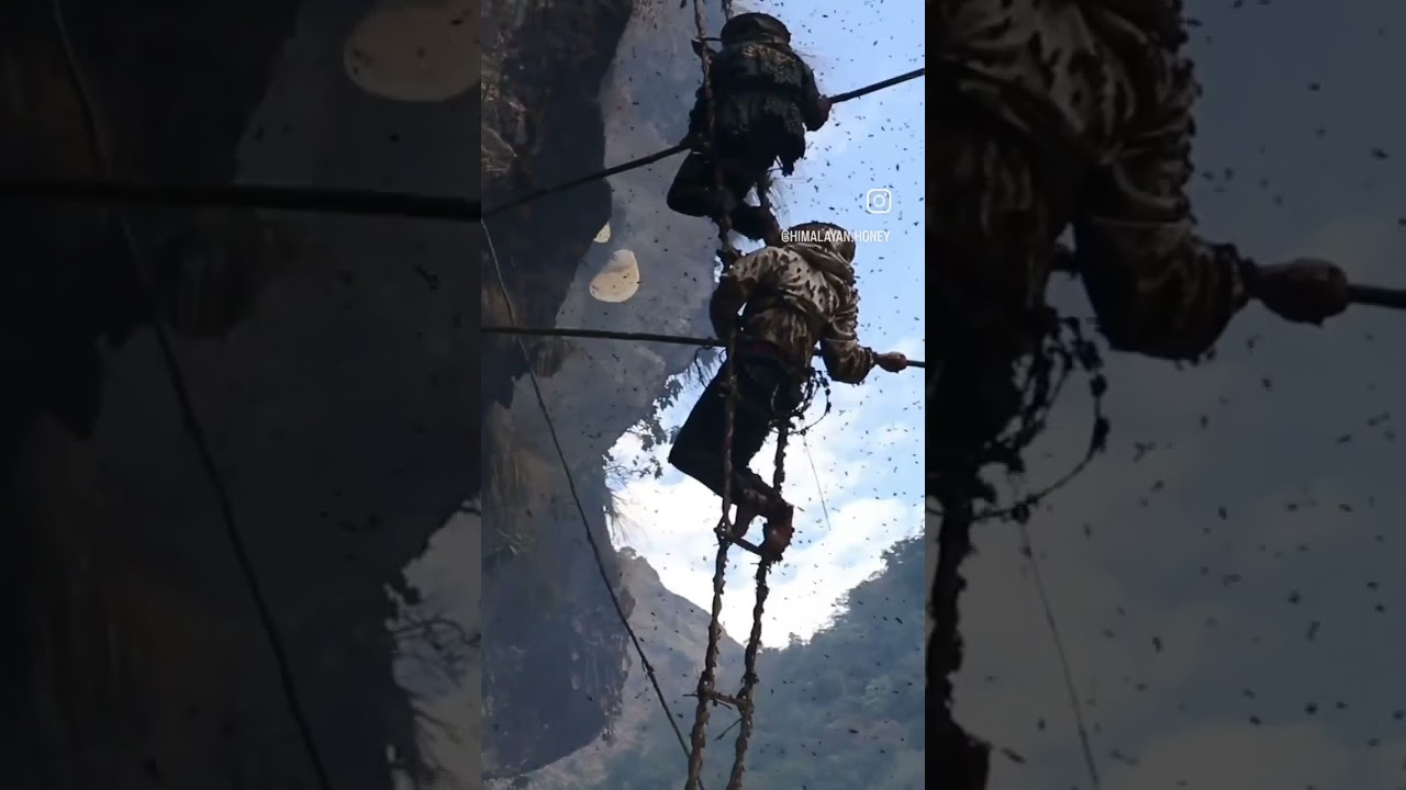 HONEY HUNTERS OF NEPAL - Maintaining Sacred Honey Traditions in a Changing Nepal
