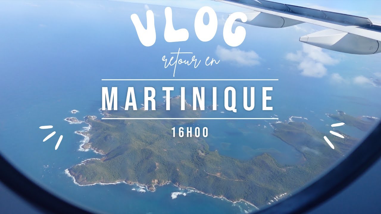 VLOG ⏐RETOUR EN MARTINIQUE 🌴, VALISE CASSÉE, AIR CARAIBE ME METS SUR LA PAILLE⎟NANCY