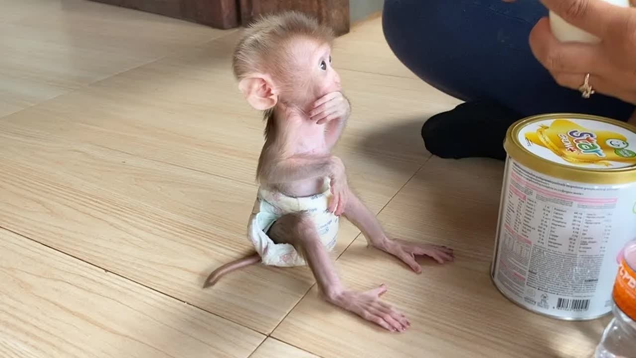 Patiently Baby DORN Sit Very Hungry Wait Mom Feeding Him