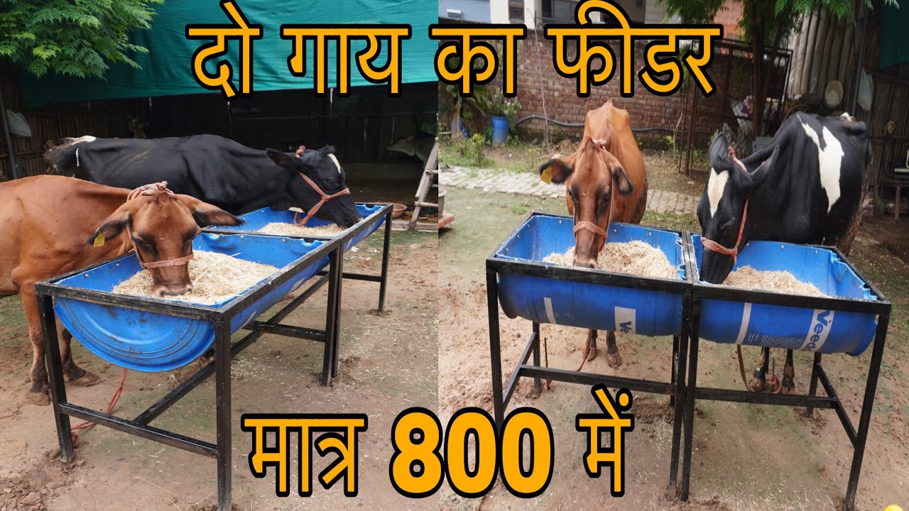 Cow feeder make with old plastic drum | Big Flower Pot Making With Plastic Drum For Terrace garden