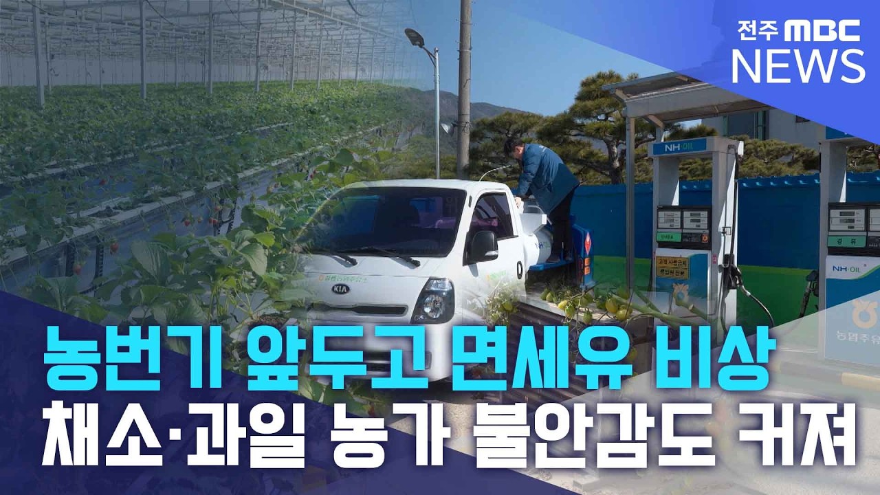 채소·과일 농가도 부담.. 농번기 앞두고 면세유 확보 비상 | 전주MBC 260310 방송